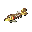 Arrokuda game sprite