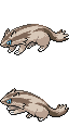 Linoone game sprite
