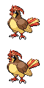Pidgeotto game sprite