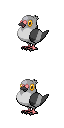 Pidove game sprite