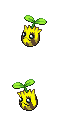 Sunkern game sprite