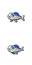 Wishiwashi game sprite