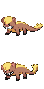 Yungoos game sprite