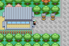 Archived emulator screenshot of Johto